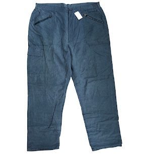 BLUE PEGASUS CARGO PANT